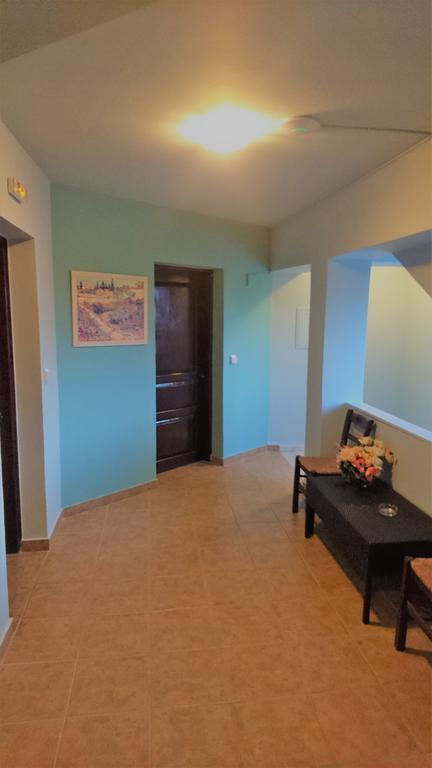 Doras Zante Studios&Apartments Argassi Exterior foto